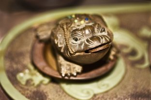 Amulett-Kröte auf Glück und Reichtum